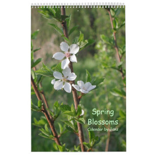 Våren blomstrar väggkalendern vid Janz Kalender