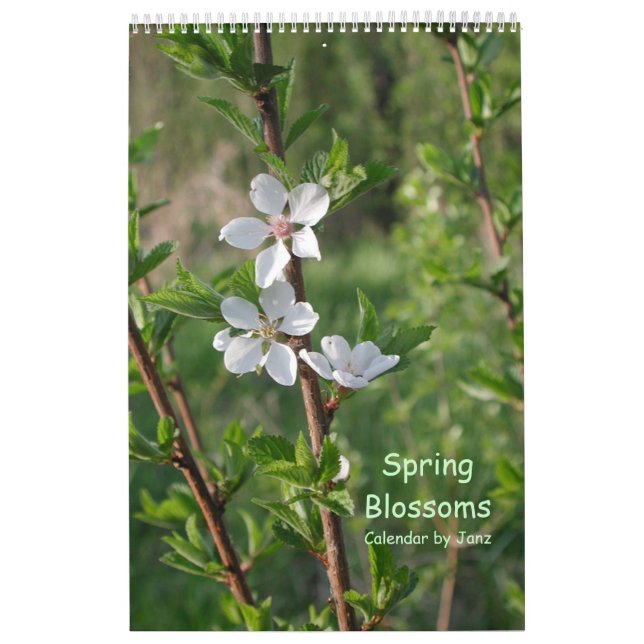 Våren blomstrar väggkalendern vid Janz Kalender (Omslag)