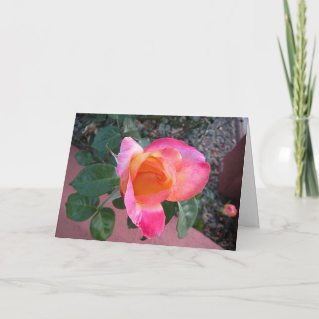 Våren färgar tackkortet tack kort (Framsida)