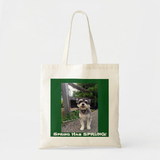 Våren för *NEW* 2015 HAR FJÄDRAT! CarmineWinston Tygkasse