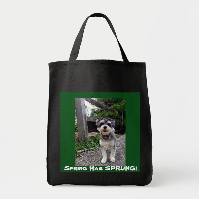 Våren för *NEW* 2015 HAR FJÄDRAT! CarmineWinston Tygkasse (Framsidan)