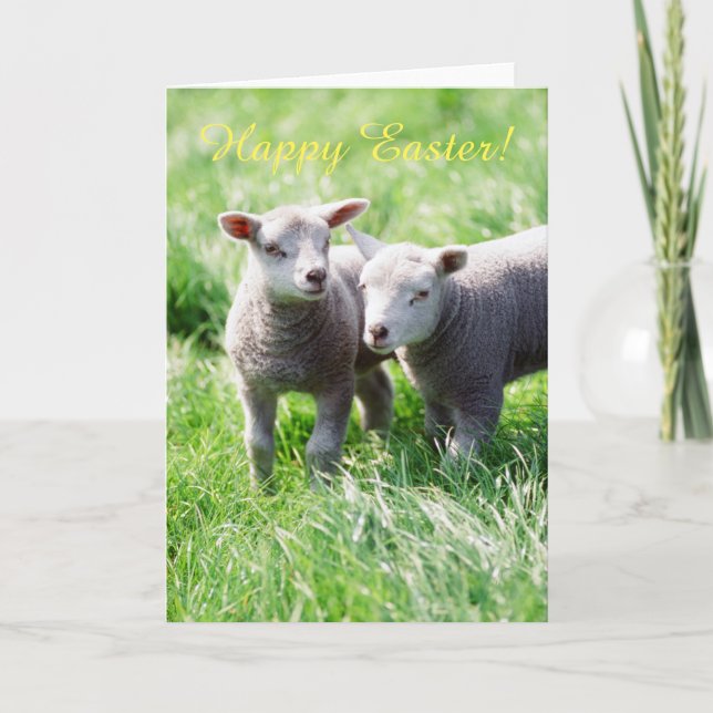 Våren lambs påskkortet helgkort (Framsida)