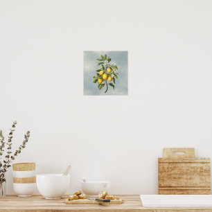 Våren rikedom: Citronblommning Poster