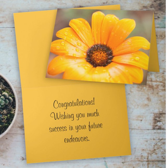 Vårens blixtafrikansk tusensköna närbildsmall kort (cover and inside template text greeting card)