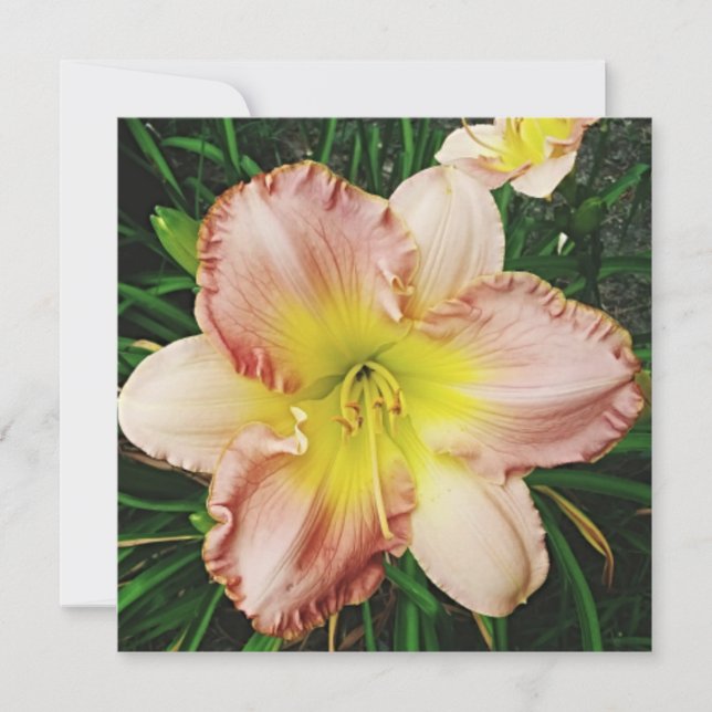 Vårens Blomningar Inbjudningar (Framsida)