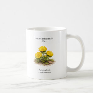 Vårens efemära i Japan – Amur Adonis Kaffemugg