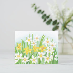 Vårens narcisser vykort