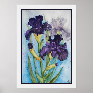 Vårens Purpur Iris Poster