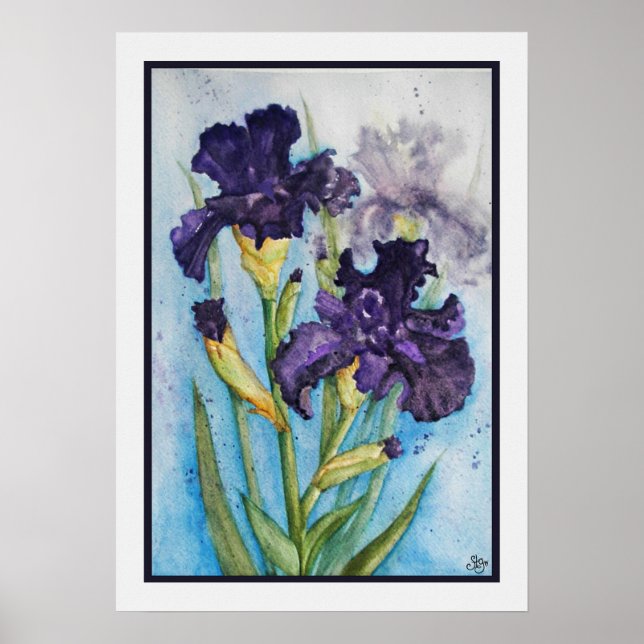 Vårens Purpur Iris Poster (Framsidan)