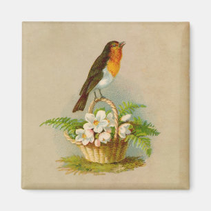 Vårfågel på basketen magnet