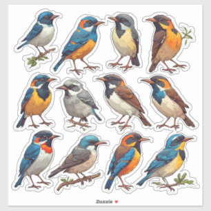 Vårfågelillustration Klistermärke Paket 🐦 Klistermärken
