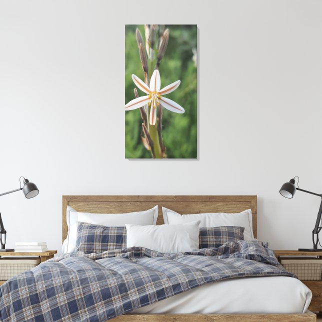 Vårflora Sydafrika Canvastryck (Insitu (sovrum))