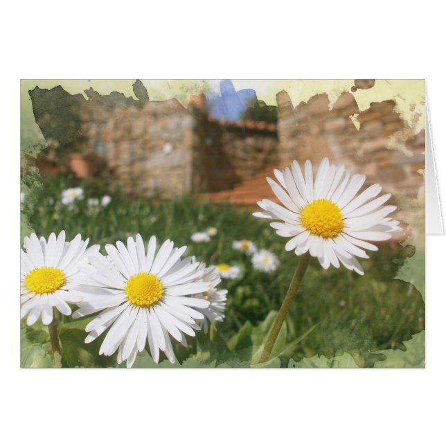 Vårflowers. Hälsningskort (Framsidan Horizontal)