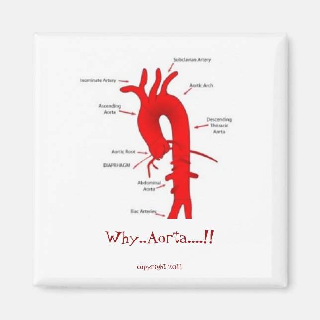 Varför..Aorta....! 2-tums kylmagnet Magnet (Framsidan)