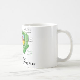 Varför äta kött, om växtceller har allt det? ( kaffemugg