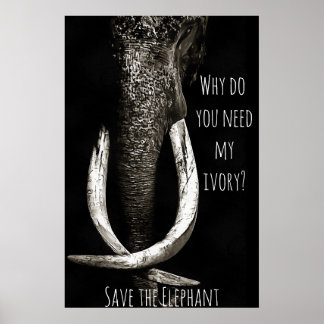 Varför behöver du min ivoriansvart och vit elefant poster