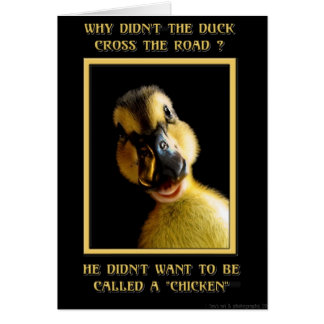 Varför gick inte vägen anka kor? hälsningskort