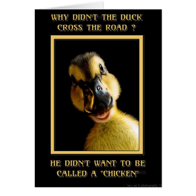 Varför gick inte vägen anka kor? hälsningskort (Framsidan)