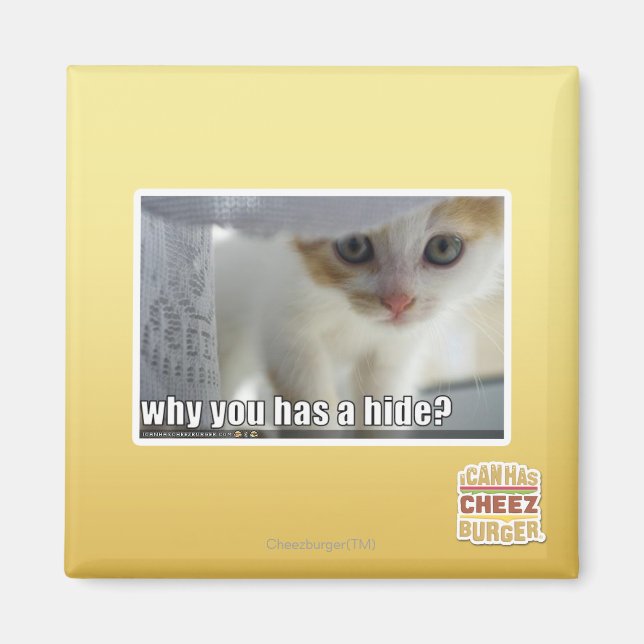 Varför har du en göm? magnet (Framsidan)