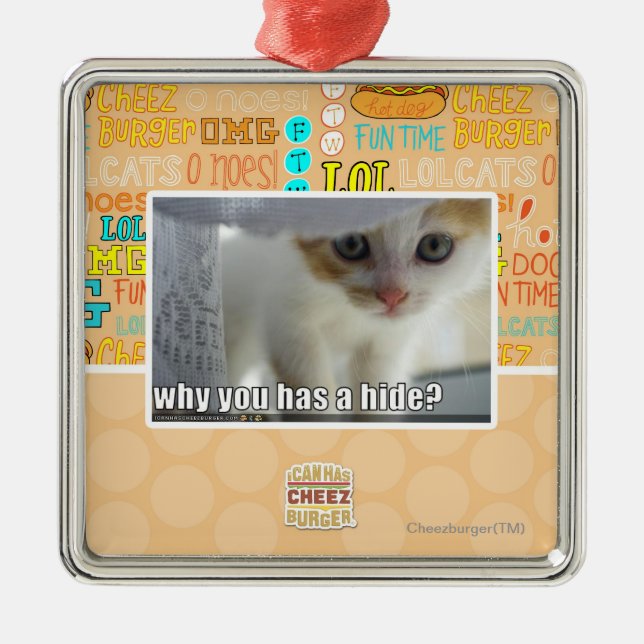 Varför har du ett skinn? julgransprydnad metall (Framsidan)