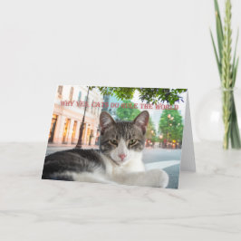 Varför ja, katter styr världen, notecard meddelande
