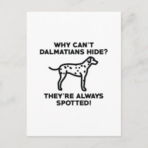 Varför kan inte Dalmatier Gömma? Vykort