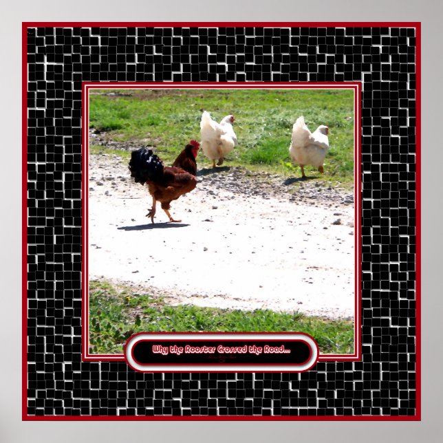 Varför korsade Tupp vägen? Poster (Framsidan)