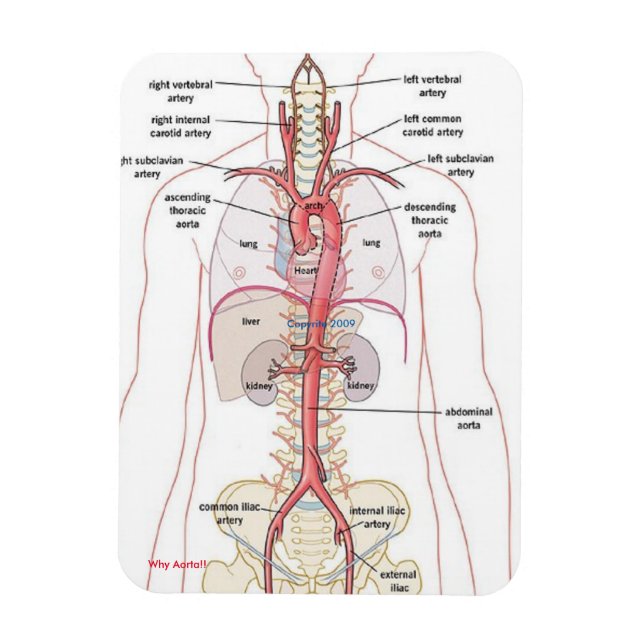 VARFÖR! Magnet (Vertikal)