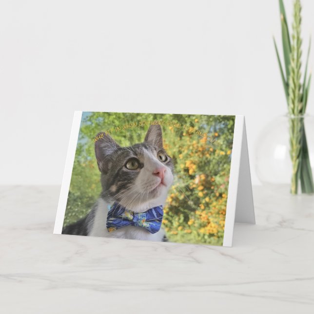 Varför passa in, notecard meddelande (Framsida)