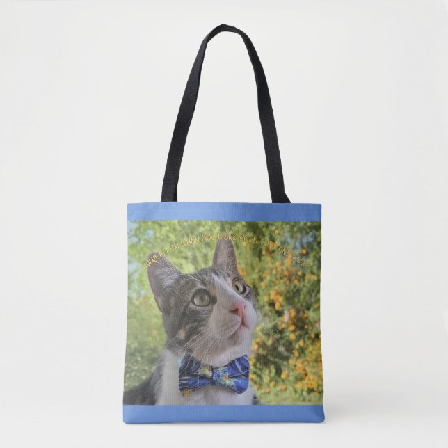 Varför passa in tygkasse (Framsida)