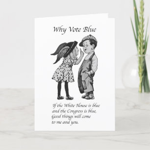 Varför rösta totalt blått 2028? kort