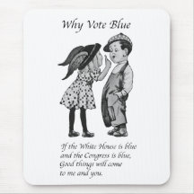 Varför rösta totalt blått 2028?