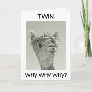 VARFÖR SER DU PÅ UNGERN "TWIN" GRATTIS PÅ FÖDELSED KORT