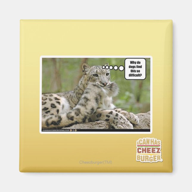 Varför tycker hundar att det är så svårt? magnet (Framsidan)