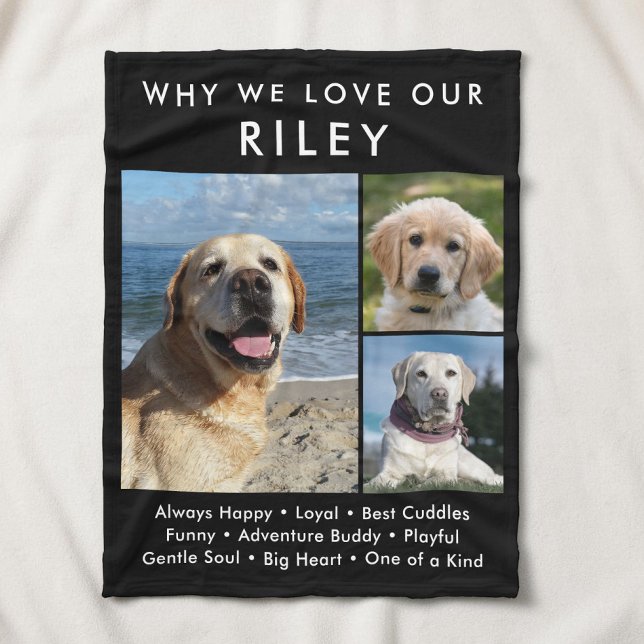 Varför vi älskar vår hund katt husdjur foto collag fleecefilt (Why We Love Our Dog Cat Pet Photo Collage Fleece Blanket)