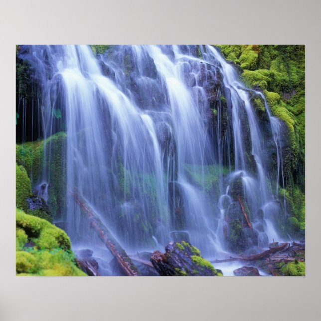 Vårfriskt vatten som rinner över mossa poster (Framsidan)