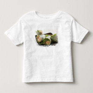 Vårfyllda vårrullar t-shirt