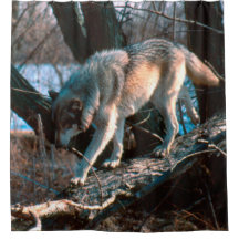 Varg