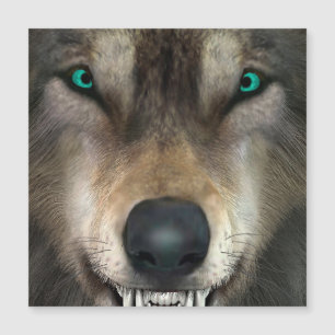 Varg