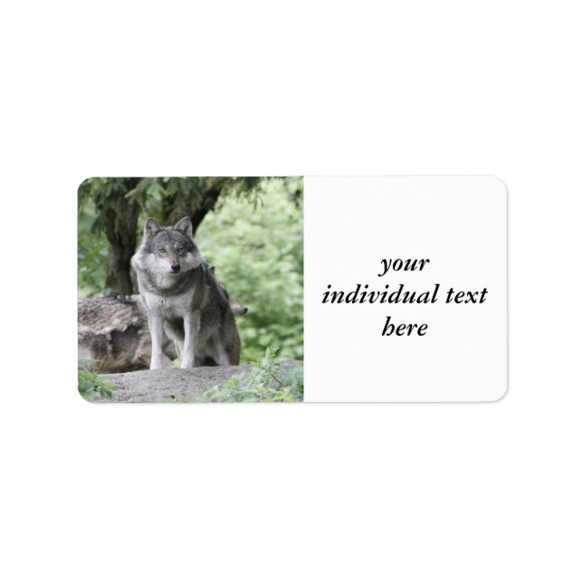 Varg 14AJ Adressetikett (Framsidan)