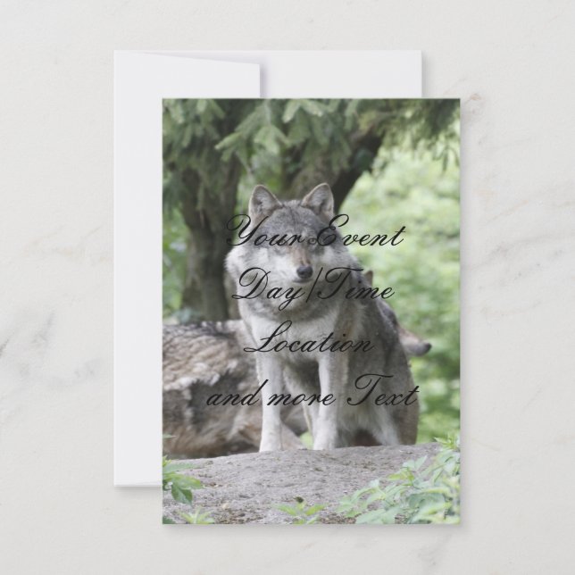 Varg 14AJ Inbjudningar (Framsida)