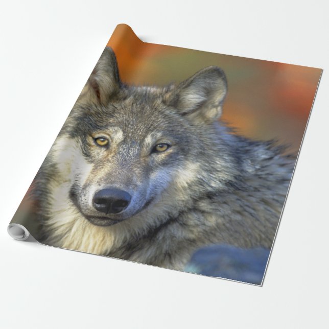 Varg_2015_0302 Presentpapper (Utrullad)
