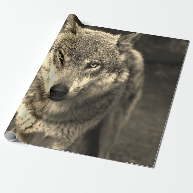 Varg 215 presentpapper (Utrullad)