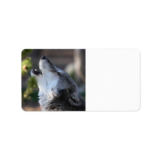 varg adressetikett (Framsidan)