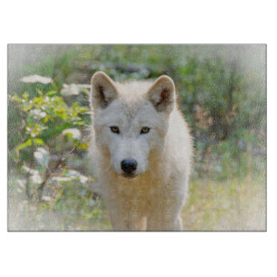 Varg Animal Art, Canadian Wildlife