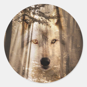 VARG ANSIKTE i SKOGEN Runt Klistermärke