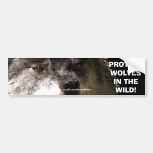 VARG ANSIKTE Wildlife Conservation Bumper-dekal Bildekal