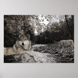 Varg Bäck Brook Forest Landcape Poster
