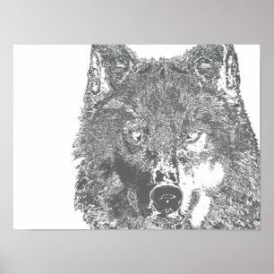 Varg blick poster