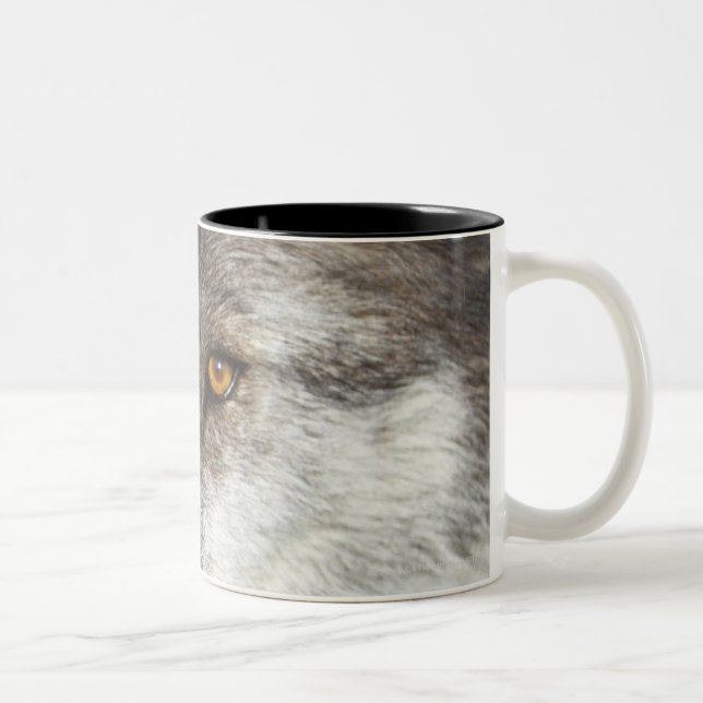 Varg (CanisLupus) Två-Tonad Mugg (Höger)